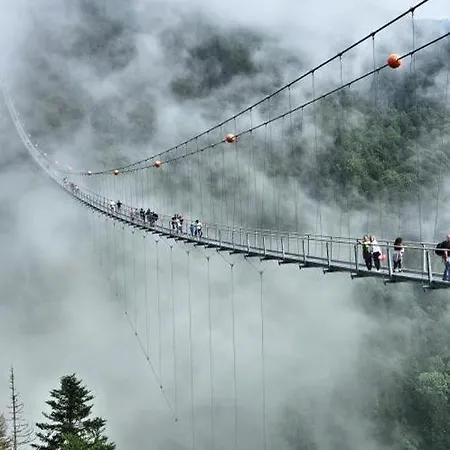 Neu! Talblick * Falkau