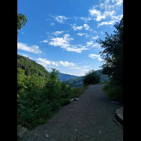 Neu! Talblick *